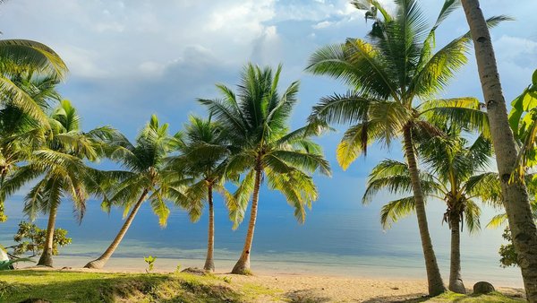 Où peut-on louer une maison de vacances au Canada avec des excursions pour observer les ours et des ateliers de photographie animalière?